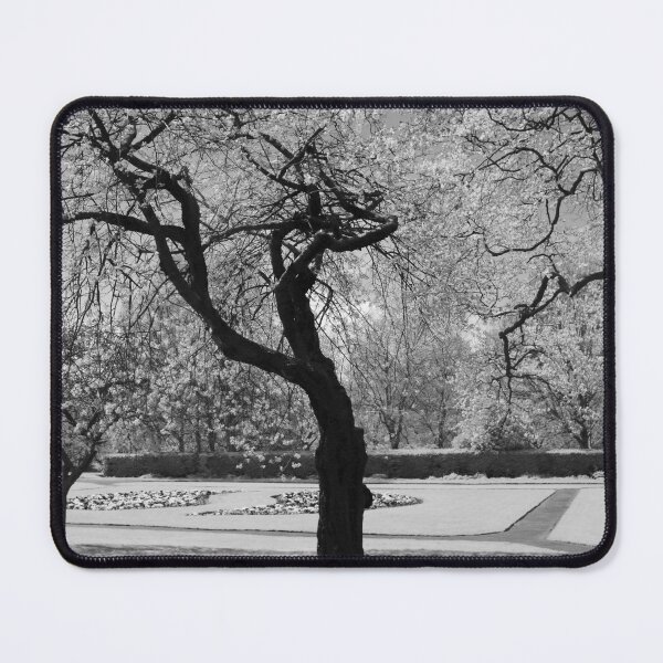 Item preview, Blossom Trees in Monochrome designed and sold by Rachel J Bowler.