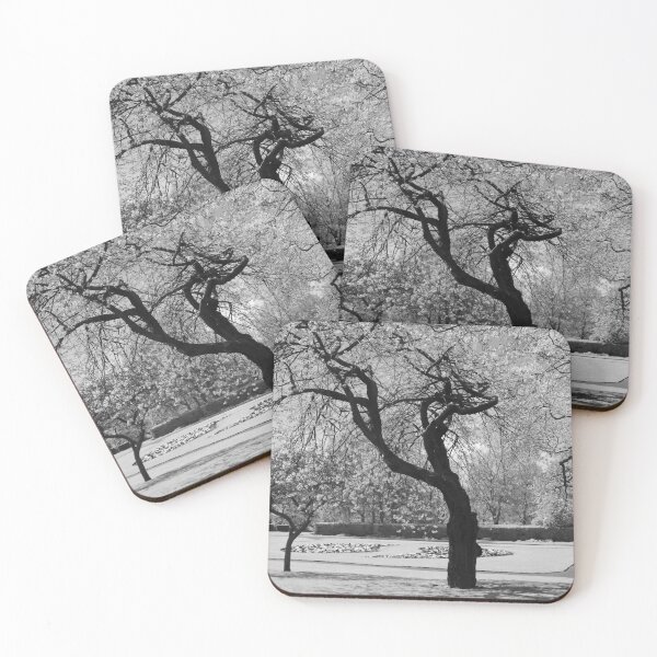 Item preview, Blossom Trees in Monochrome designed and sold by Rachel J Bowler.
