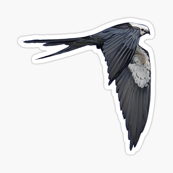 Item preview, Swallow-Tailed Kite Bird designed and sold by HouseflyWonders.