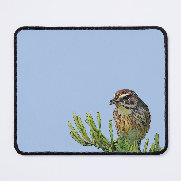 Item preview, Palm Warbler Bird (Blue Background) designed and sold by HouseflyWonders.