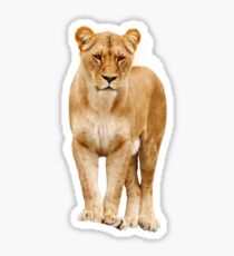 Lion Shirt/Lion Apparel/Lion Accessories-Do you like the king lion? Sticker