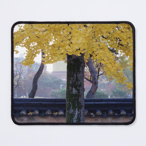 Item preview, photonuri photography works 2024P043 designed and sold by photonuri.