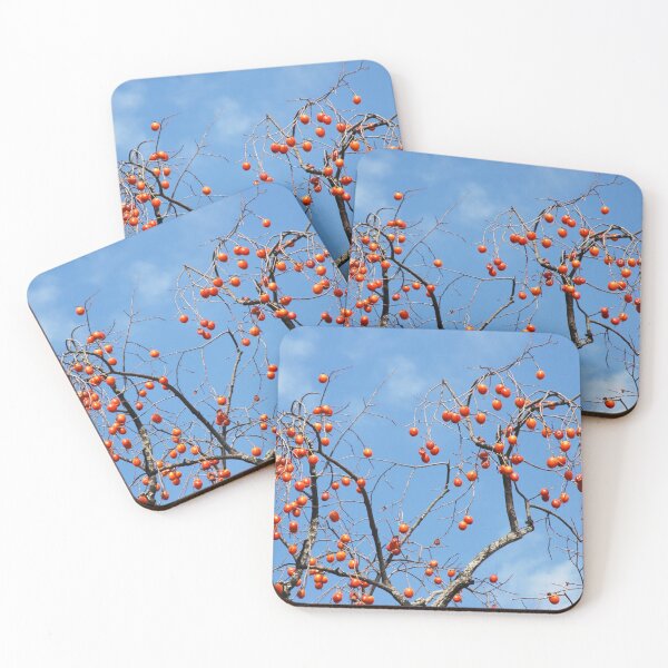 Item preview, photonuri photography works 2024P045 designed and sold by photonuri.