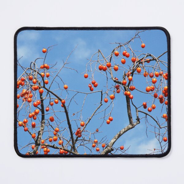 Item preview, photonuri photography works 2024P045 designed and sold by photonuri.