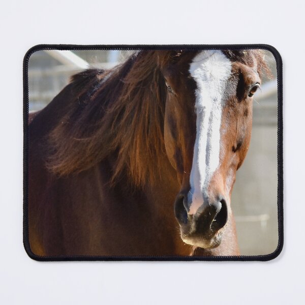 Item preview, Tiznow  designed and sold by JaJoFineArt.