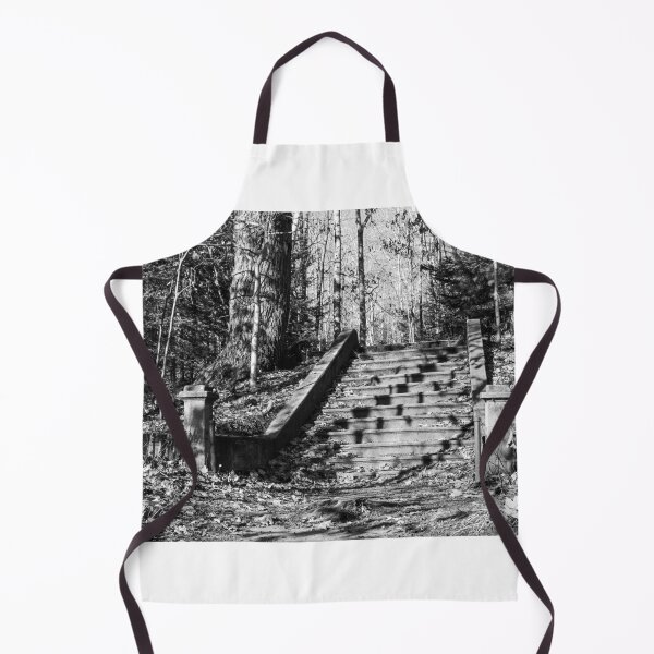 Item preview, Stairway to Old Town designed and sold by LBPhoto13.