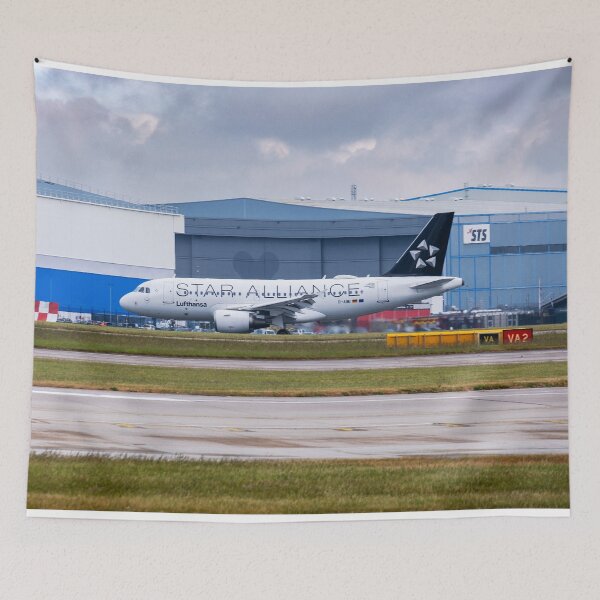 Item preview, MAN from FRA Lufthansa Star Alliance Livery Airbus A319-112 designed and sold by Skyframe Aviation.