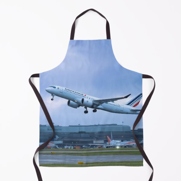 Item preview, MAN to CDG Air France Airbus A220-300 designed and sold by Skyframe Aviation.