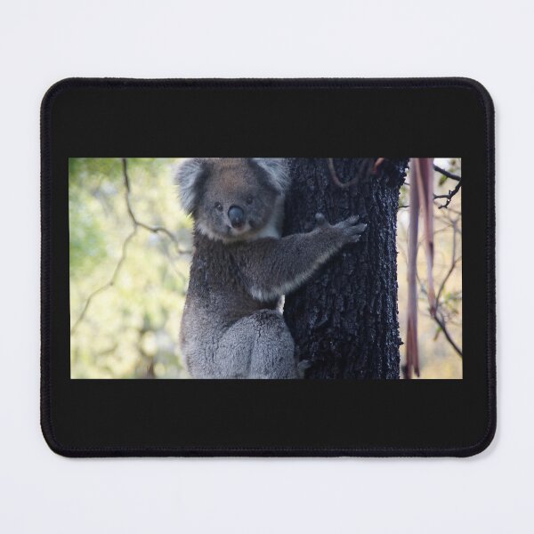 Item preview, Koala at Magpie Springs designed and sold by MagpieSprings.