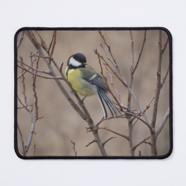 Item preview, Great Tit on Bare Branches - Winter Mood designed and sold by tothkataphoto.