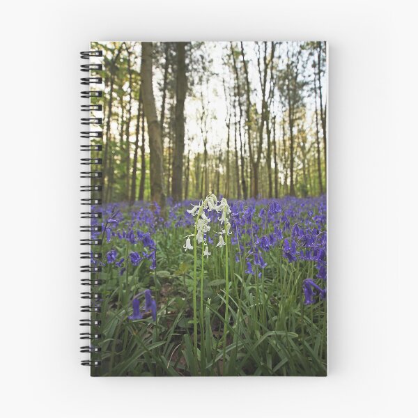 Item preview, dare to be different designed and sold by Murph's Images.