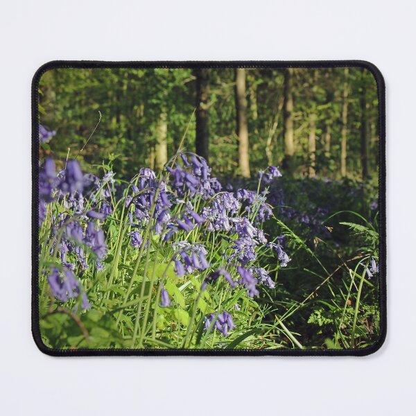 Item preview, Among the Bluebells designed and sold by Murph's Images.