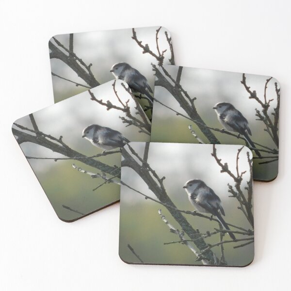 Item preview, Long-Tailed Tit Perched in Soft Light designed and sold by tothkataphoto.