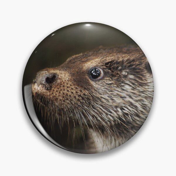 Item preview, Head of an Otter designed and sold by Murph's Images.
