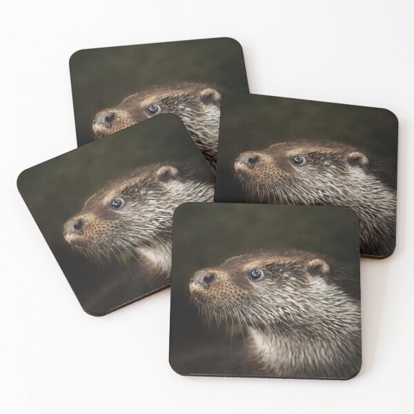 Item preview, Head of an Otter designed and sold by Murph's Images.