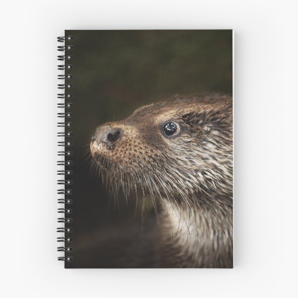Item preview, Head of an Otter designed and sold by Murph's Images.