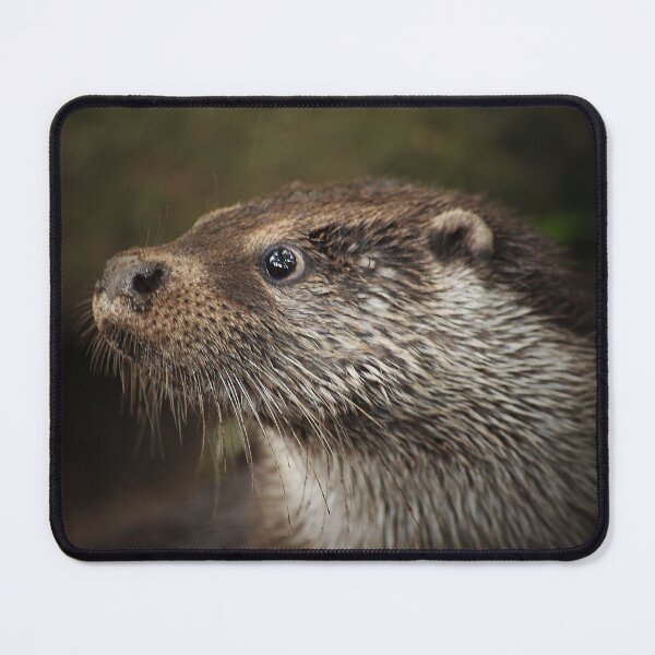 Item preview, Head of an Otter designed and sold by Murph's Images.
