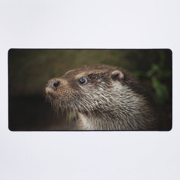 Item preview, Head of an Otter designed and sold by Murph's Images.