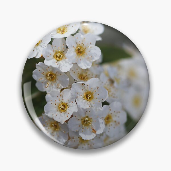 Item preview, White And Golden Spring Flowers designed and sold by Joy Watson - Natural Light Photography .