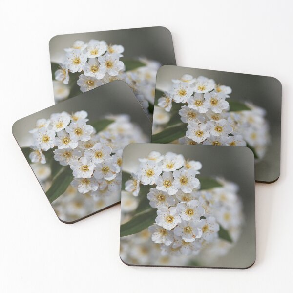 Item preview, White And Golden Spring Flowers designed and sold by Joy Watson - Natural Light Photography .