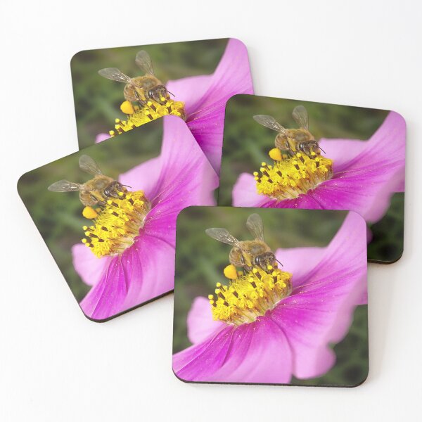 Item preview, Bee on a Pink Wildflower designed and sold by tothkataphoto.