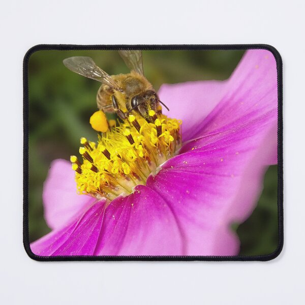 Item preview, Bee on a Pink Wildflower designed and sold by tothkataphoto.
