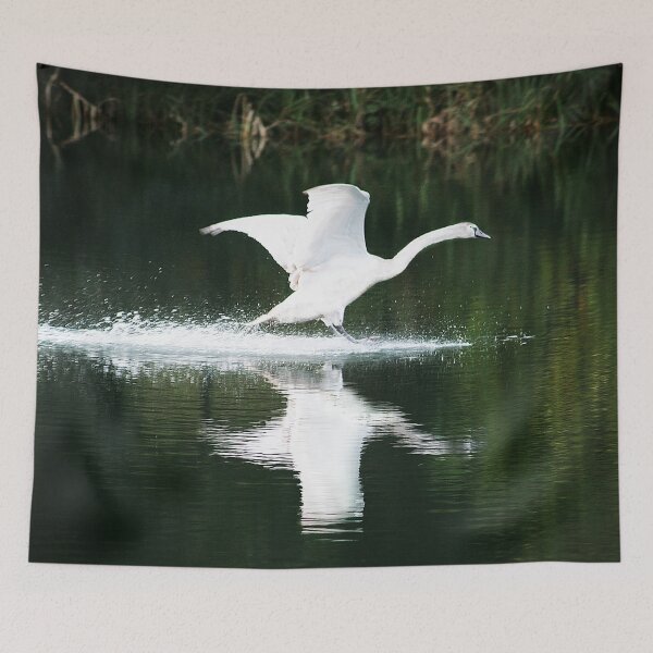 Item preview, Not Such an Ugly Duckling designed and sold by Murph's Images.