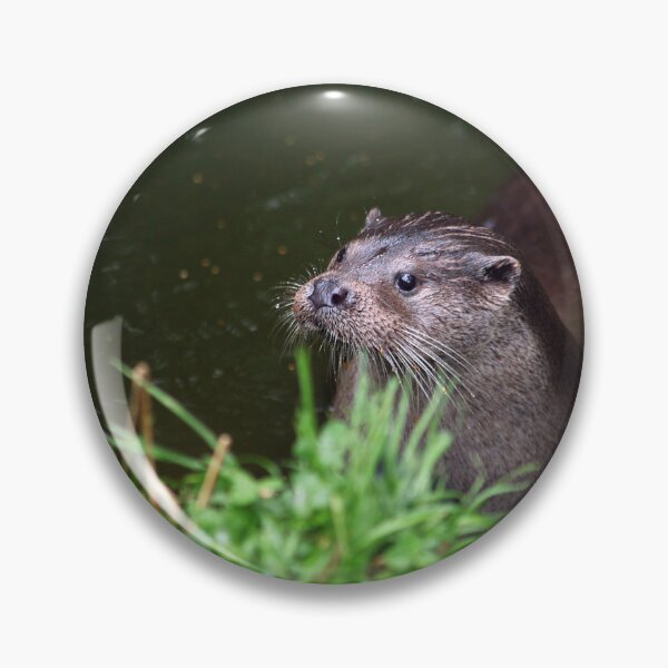 Item preview, I Love Otters designed and sold by Murph's Images.