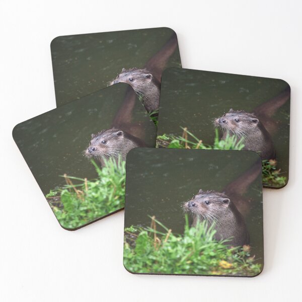 Item preview, I Love Otters designed and sold by Murph's Images.