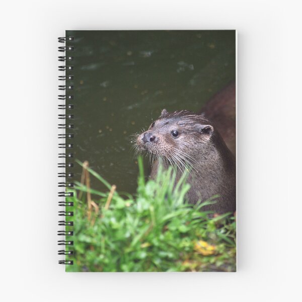 Item preview, I Love Otters designed and sold by Murph's Images.