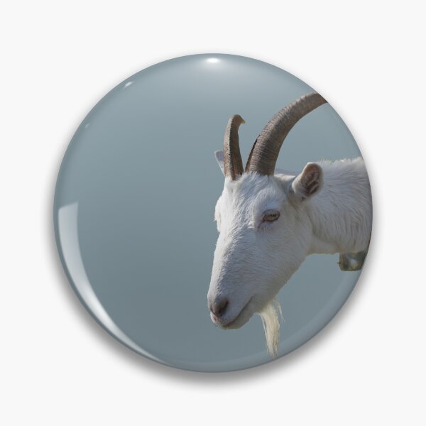 Item preview, A Goat designed and sold by STHogan2.