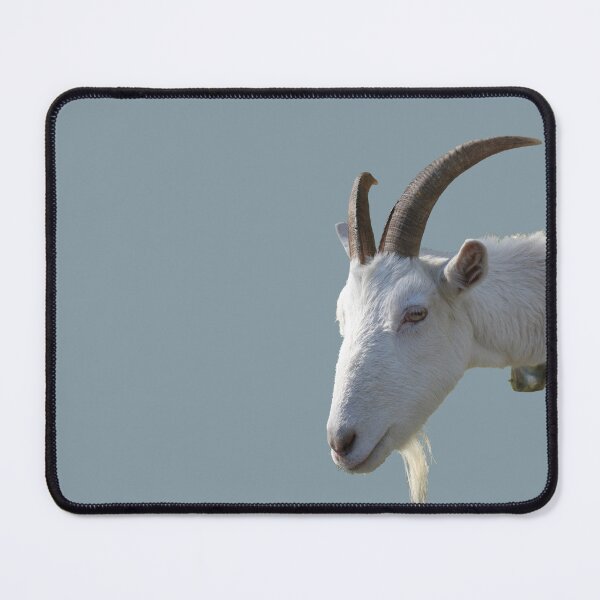 Item preview, A Goat designed and sold by STHogan2.