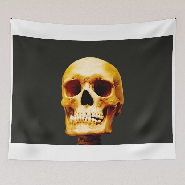 Item preview, Head Skeleton designed and sold by Mats Silvan.