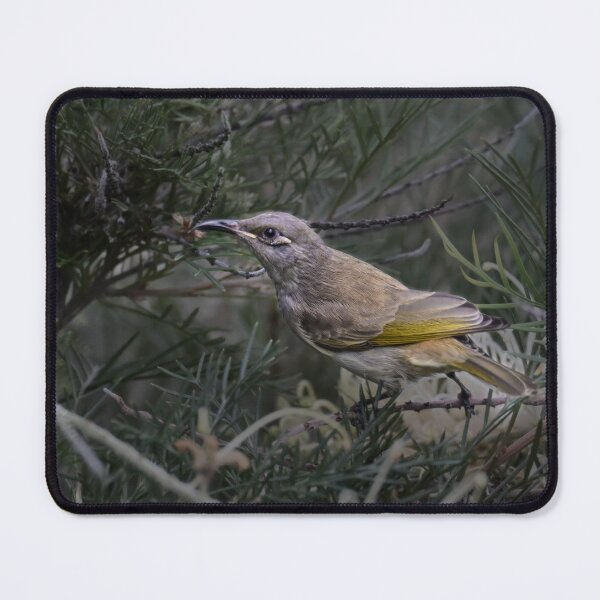 Item preview, Brown Honeyeater designed and sold by susiinoz.