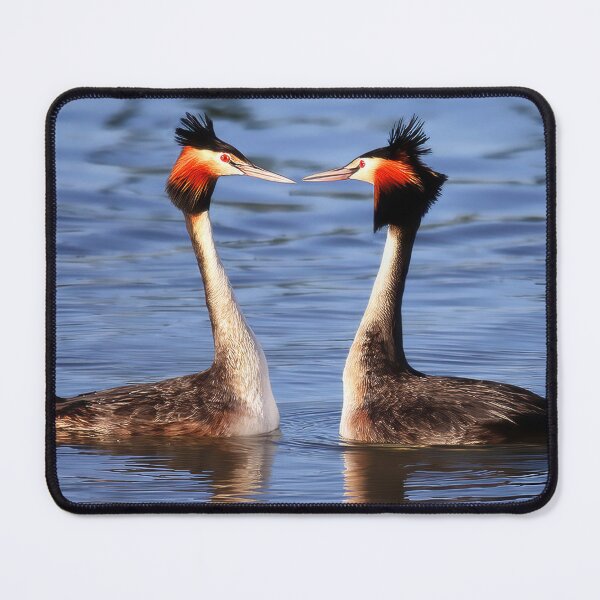 Item preview, 2195 Pair of Crested Grebe designed and sold by Hans Kawitzki.