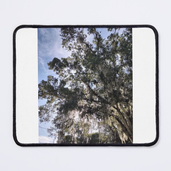 Item preview, Southern Oak Draped in Spanish Moss designed and sold by LilsBoo.