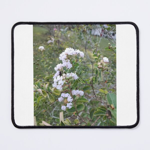 Item preview, Light Pink Crape Myrtle Blooms designed and sold by LilsBoo.