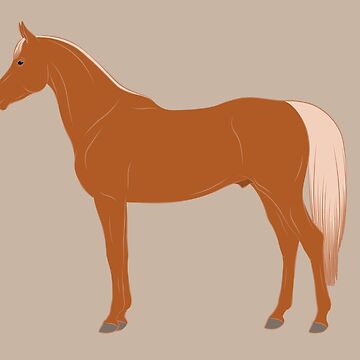 Aperçu de l'œuvre Cheval Abou'Ourquob, dessin cheval alezan, cheval oriental, races de chevaux du Yémen de WebEquitation®