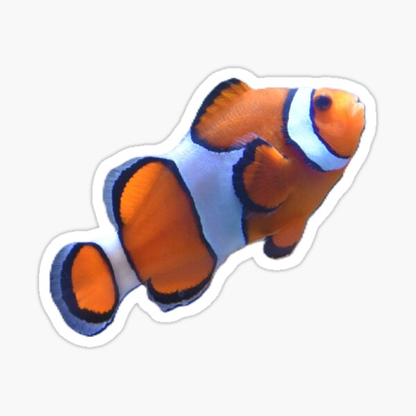 Item preview, Clownfish designed and sold by Kawaii-Cuteness.