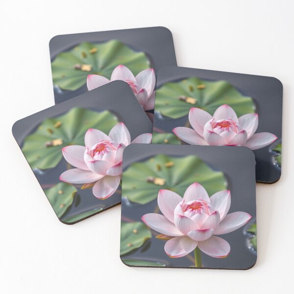 Item preview, blooming lotus designed and sold by LilithsDesires.