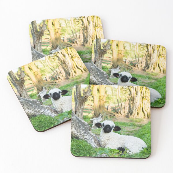 Item preview, Valais Blacknose Lamb designed and sold by Jane Stanley Photography.