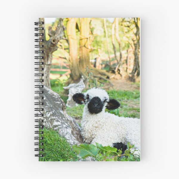 Item preview, Valais Blacknose Lamb designed and sold by Jane Stanley Photography.