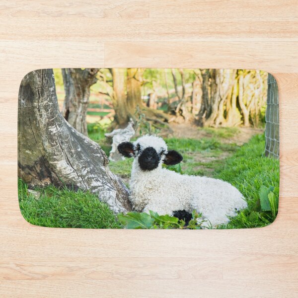 Item preview, Valais Blacknose Lamb designed and sold by Jane Stanley Photography.