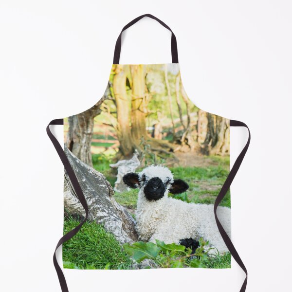Item preview, Valais Blacknose Lamb designed and sold by Jane Stanley Photography.