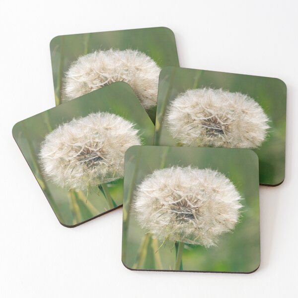 Item preview, Goat's beard - Tragopogon pratensis  designed and sold by Dorset Girl.