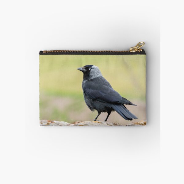 Item preview, Jackdaw on a Wall designed and sold by Jane Stanley Photography.