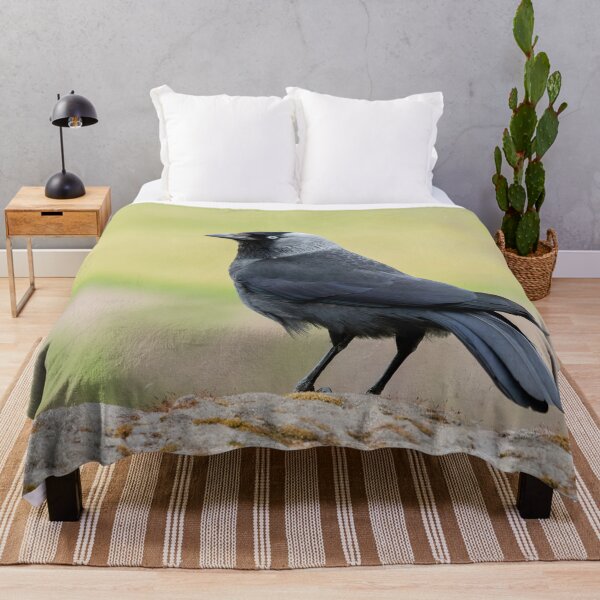 Item preview, Jackdaw on a Wall designed and sold by Jane Stanley Photography.