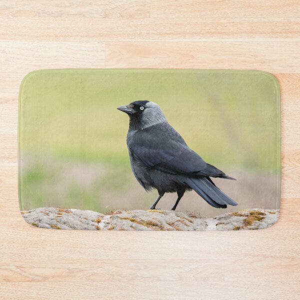 Item preview, Jackdaw on a Wall designed and sold by Jane Stanley Photography.