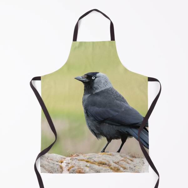 Item preview, Jackdaw on a Wall designed and sold by Jane Stanley Photography.