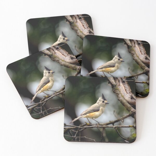 Item preview, Spiky The Titmouse designed and sold by Debra Martz.